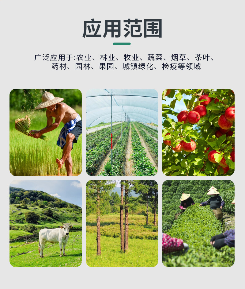 蟲情監(jiān)測(cè)系統(tǒng)(圖4)